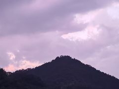 -十八棵（老龙井）御茶园(老龙井店)