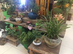 -洋洋广场(南街店)