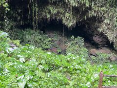 -海口火山口国家地质公园