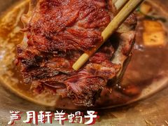 -芦月轩羊蝎子(劲松店)