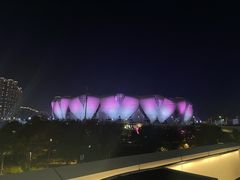 -杭州奥体中心-体育场