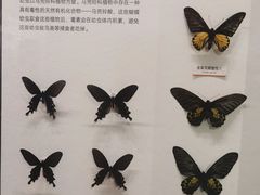 -四川大学博物馆