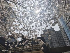-玛格萝妮比萨屋(四平店)