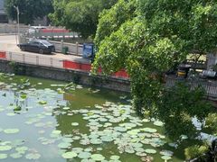 -烟桥私房菜馆(奋哥)