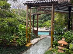 -碧桂园润杨溪谷温泉酒店