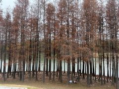 -中旅阿那亚九龙湖·公主酒店