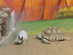 -华夏文旅海洋公园