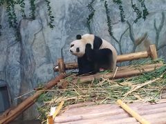 -深圳野生动物园