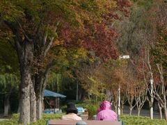 -白塘生态植物园