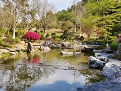 -东莞植物园