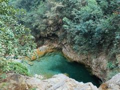 -广州白江湖森林公园