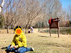 -仁和公园(顺义区)
