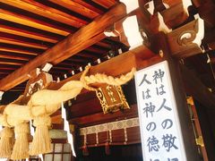 -水前寺成趣园
