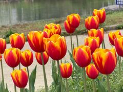 -浙江农林大学(东湖校区)