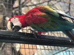 -北京野生动物园