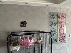 -笨猪青年旅舍(西乡地铁站店)