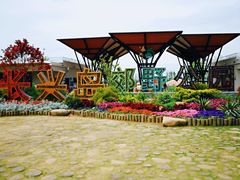 -上海长兴岛郊野公园