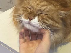 -平行世界·猫咖(首经贸店)