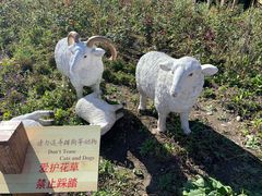 -喀纳斯禾木山庄