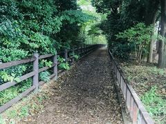 -三鹰之森吉卜力美术馆