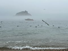 -棒棰岛宾馆景区