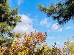 -沈阳辉山风景区