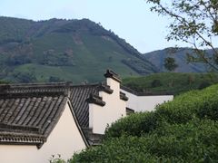 安吉帐篷客度假酒店-帐篷客·溪龙茶谷度假酒店