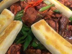 -邵年鸽(杨庄店)