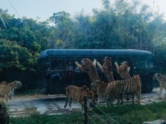 -深圳野生动物园