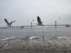 -星海广场