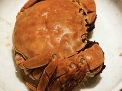 -新光酒家方亮蟹宴(黄浦店)
