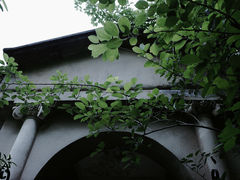 -蠡湖中央公园