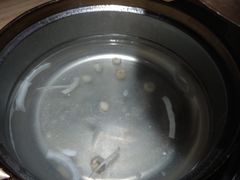 -椰夫人·养生椰子鸡(黄埔时代城店)