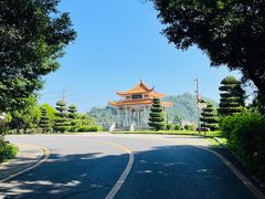 -深圳仙湖植物园