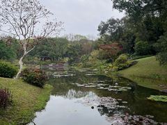 -云溪植物园
