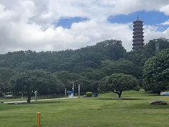 -红花山公园