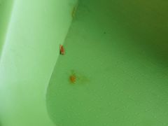 -大圆碗(新兴路店)