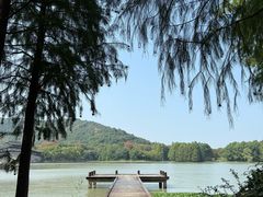 -长广溪湿地公园
