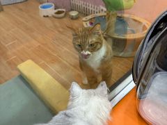 -联合动物医院(光谷诊疗中心)