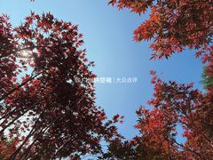 -广州市帽峰山景区