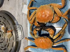 -渔舶汇蒸汽活海鲜·榴莲自助(领展中心城店)