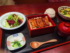 鳗鱼饭定食-翔峰炭火鳗鱼(悦泰街里公寓店)