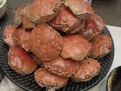 -新发展亚太JW万豪酒店·福苑咖啡厅