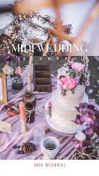 -米迪婚礼