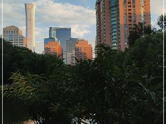-团结湖公园