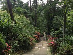 -南山植物园