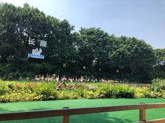 -广州长隆飞鸟乐园