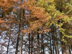 -白鹭湾湿地公园