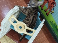 -杭州野生动物世界