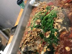 -黑猫馋纸包鱼(阳光店)